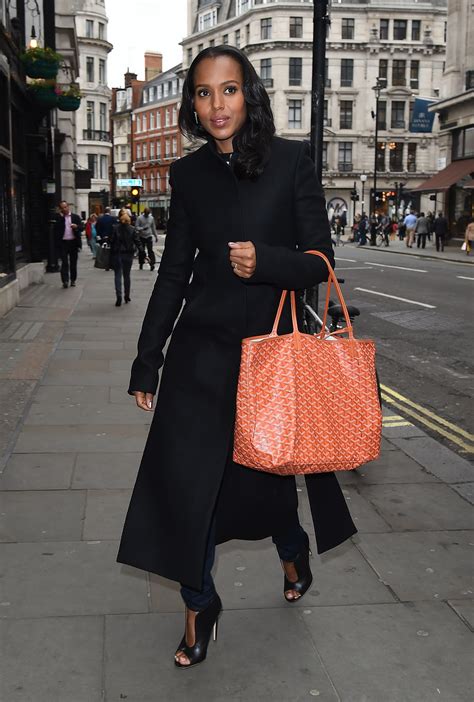 celebirties with goyard bags|rachel goyard bags.